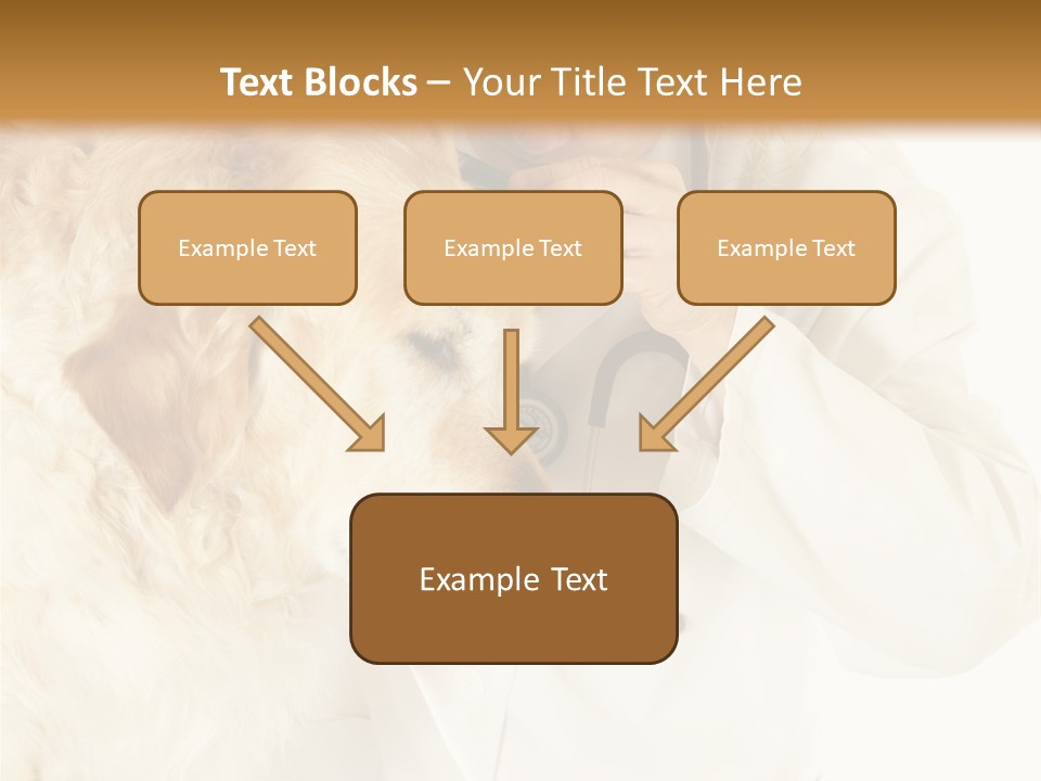 Medicine Vet Dog Lantern PowerPoint Template