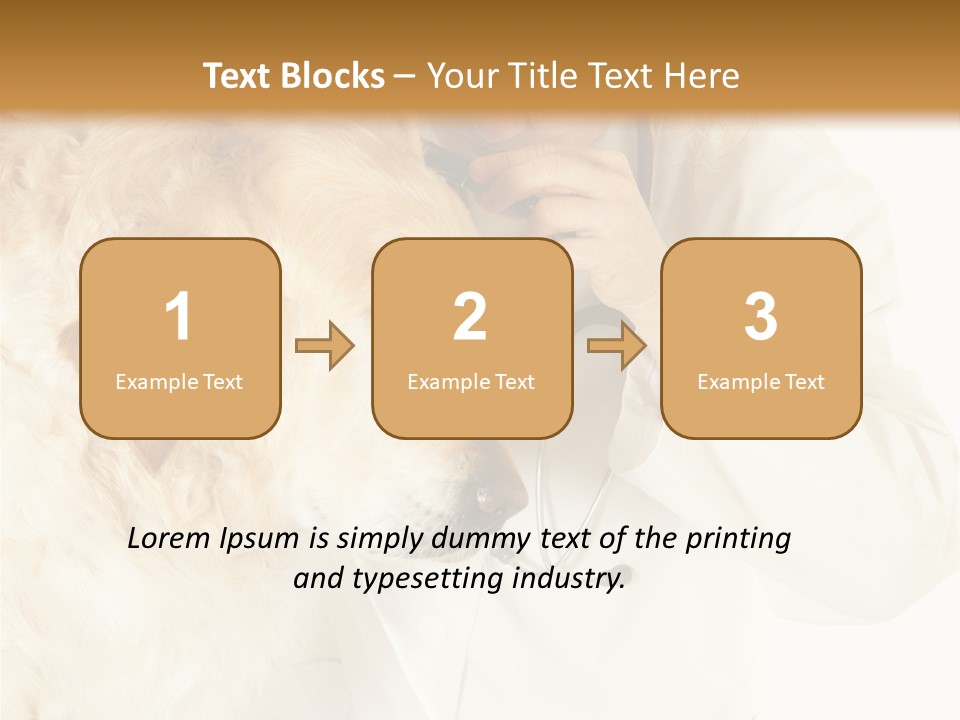 Medicine Vet Dog Lantern PowerPoint Template