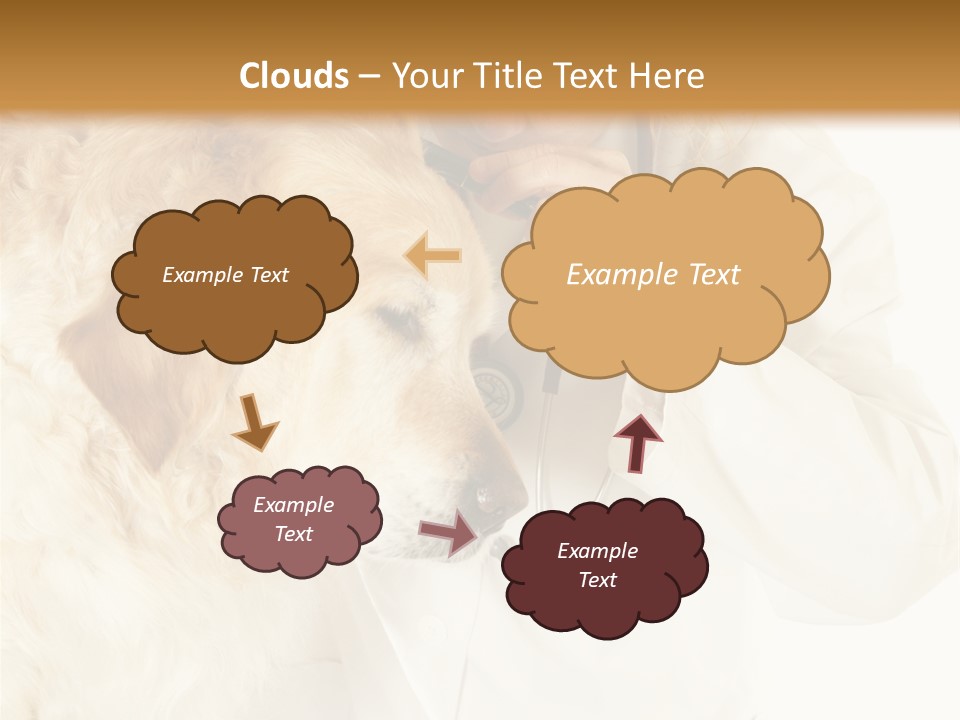 Medicine Vet Dog Lantern PowerPoint Template