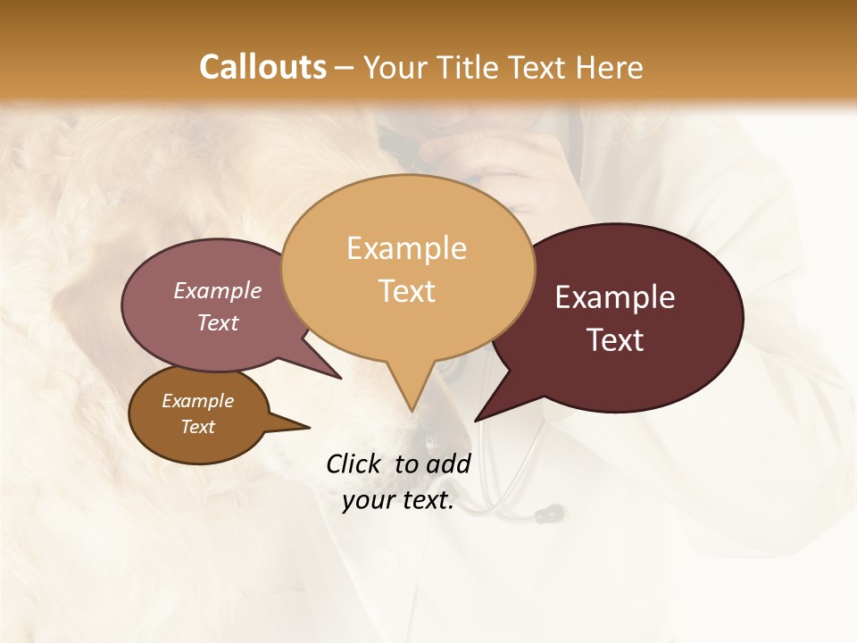 Medicine Vet Dog Lantern PowerPoint Template