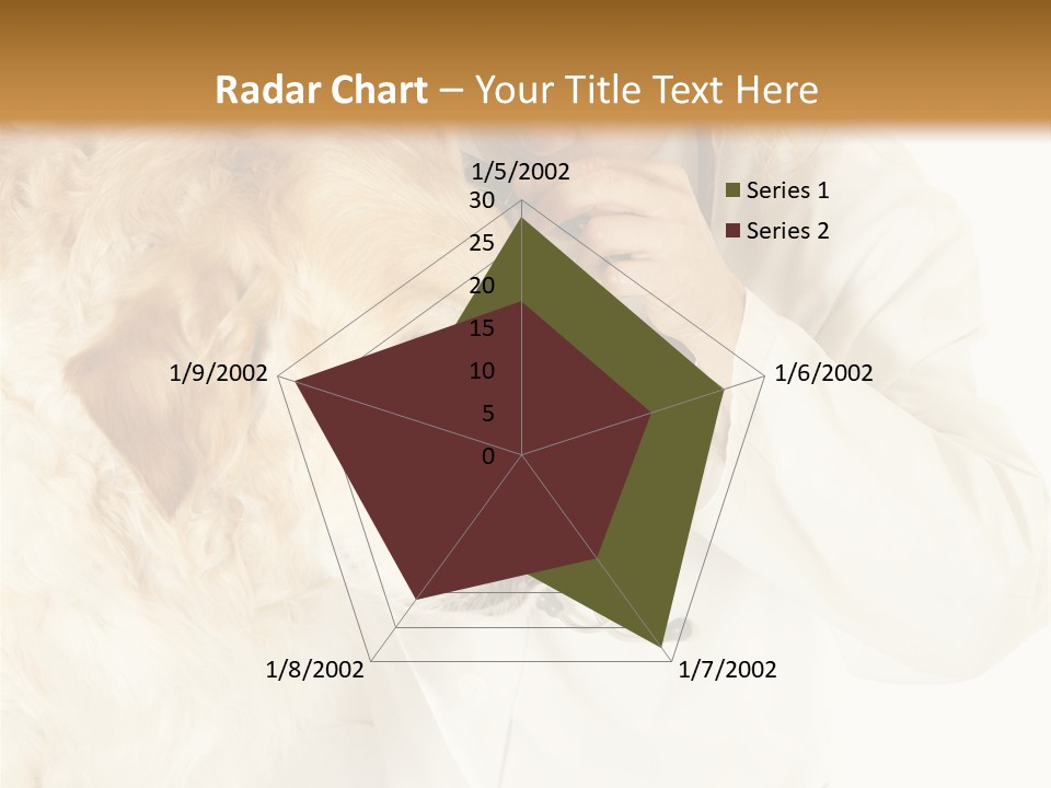 Medicine Vet Dog Lantern PowerPoint Template