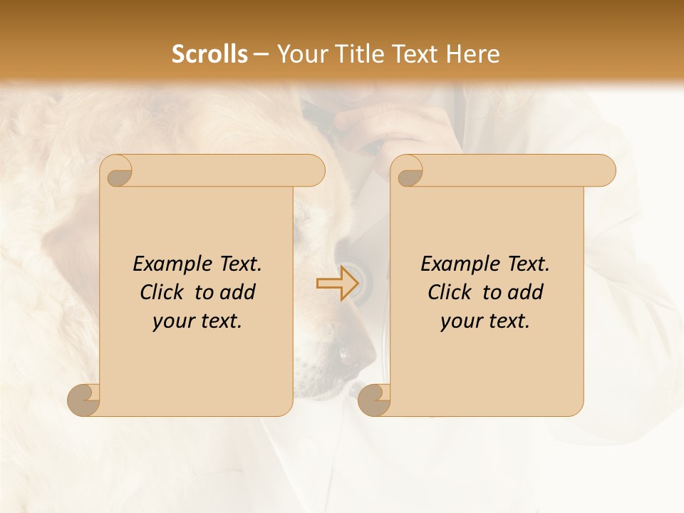 Medicine Vet Dog Lantern PowerPoint Template