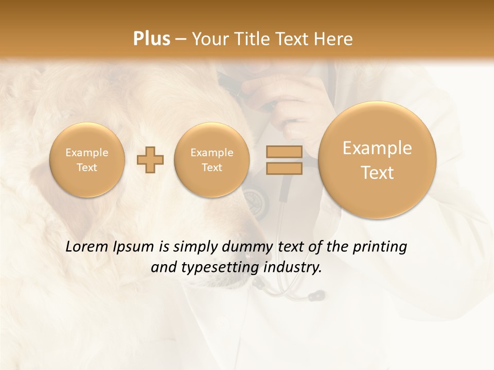 Medicine Vet Dog Lantern PowerPoint Template