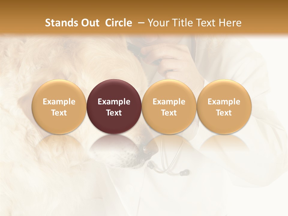 Medicine Vet Dog Lantern PowerPoint Template