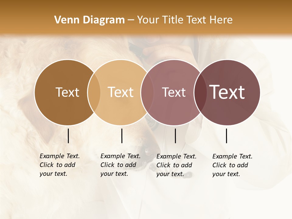 Medicine Vet Dog Lantern PowerPoint Template