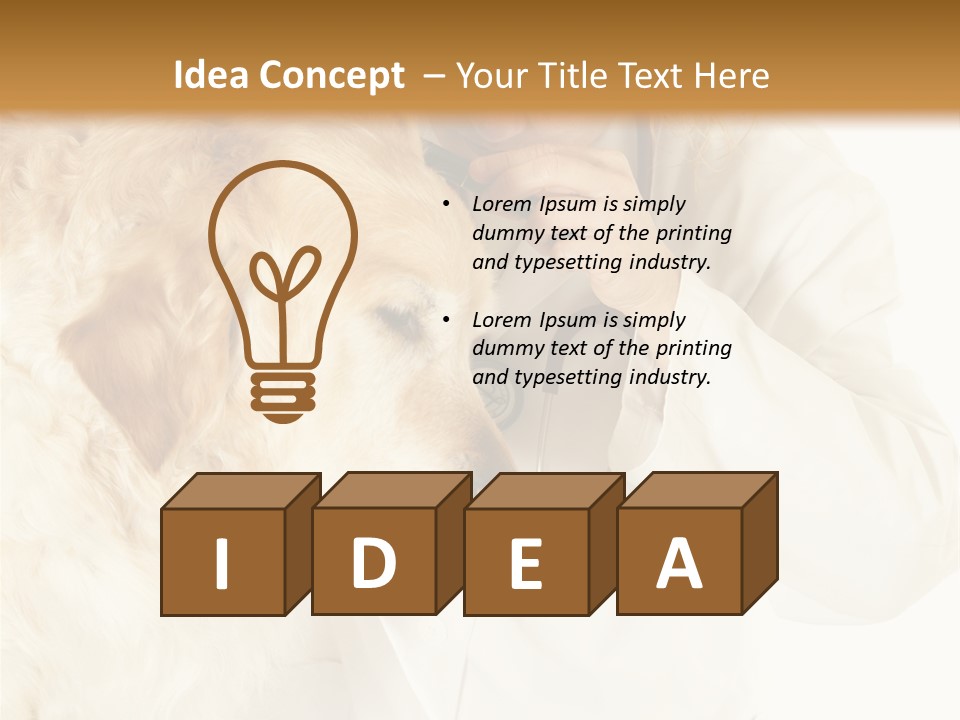 Medicine Vet Dog Lantern PowerPoint Template