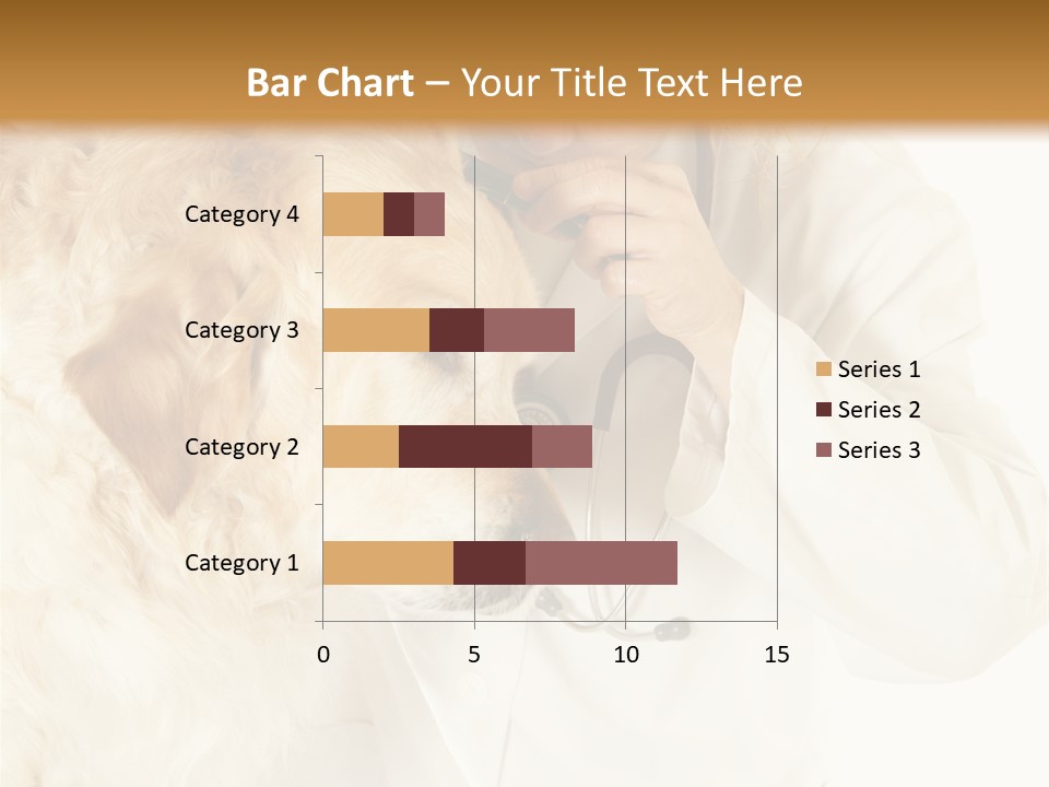 Medicine Vet Dog Lantern PowerPoint Template