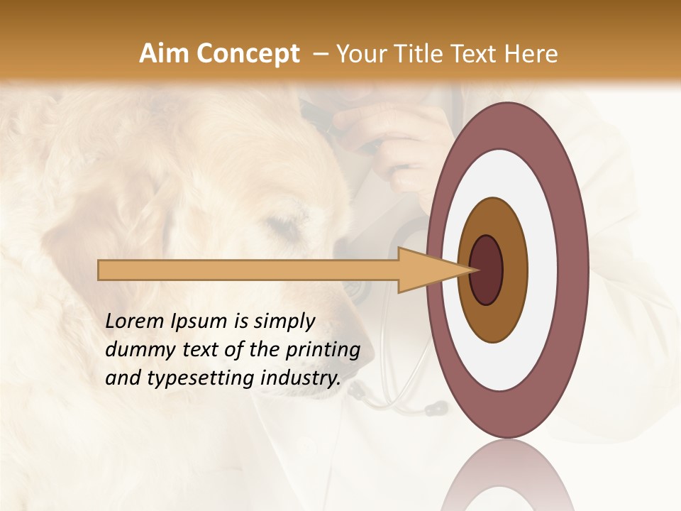 Medicine Vet Dog Lantern PowerPoint Template