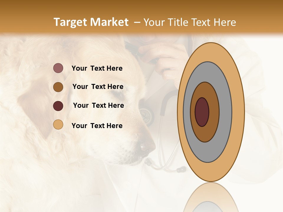 Medicine Vet Dog Lantern PowerPoint Template