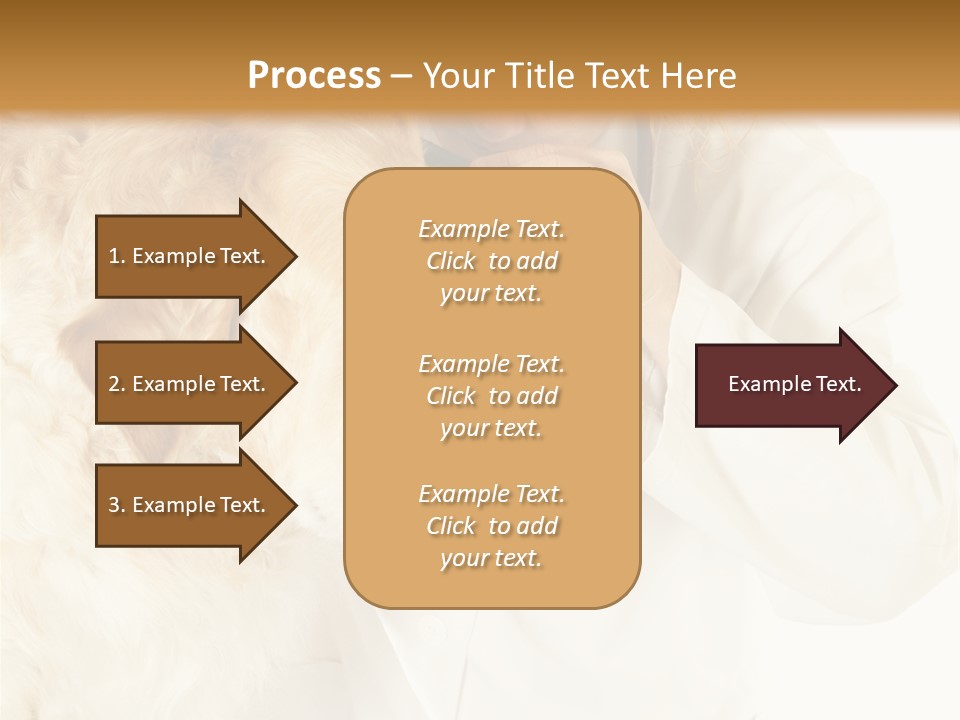 Medicine Vet Dog Lantern PowerPoint Template