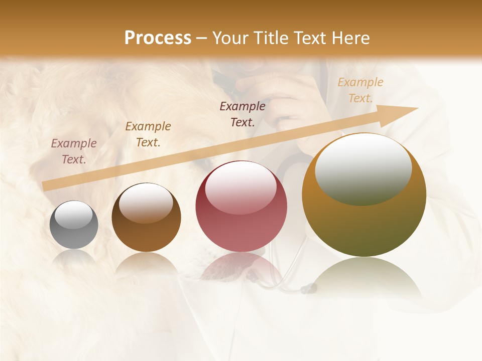 Medicine Vet Dog Lantern PowerPoint Template