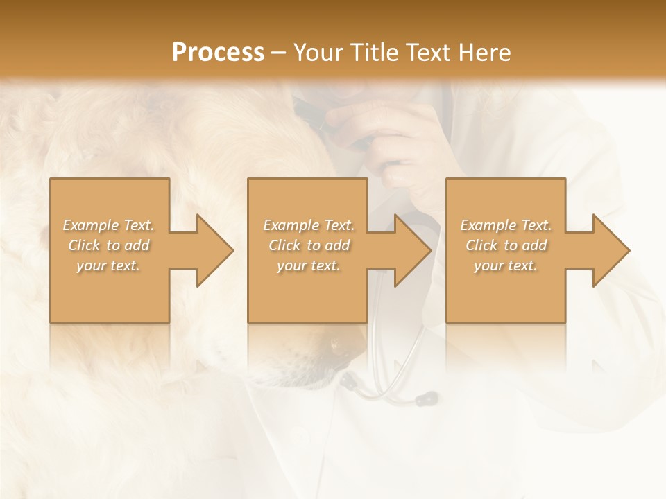 Medicine Vet Dog Lantern PowerPoint Template