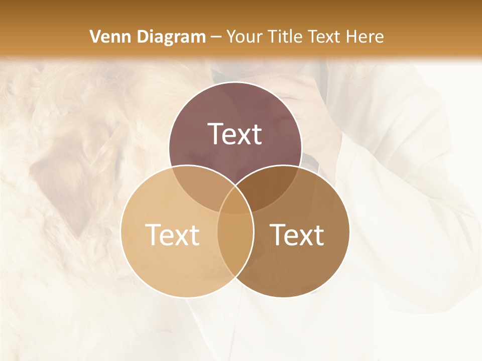 Medicine Vet Dog Lantern PowerPoint Template