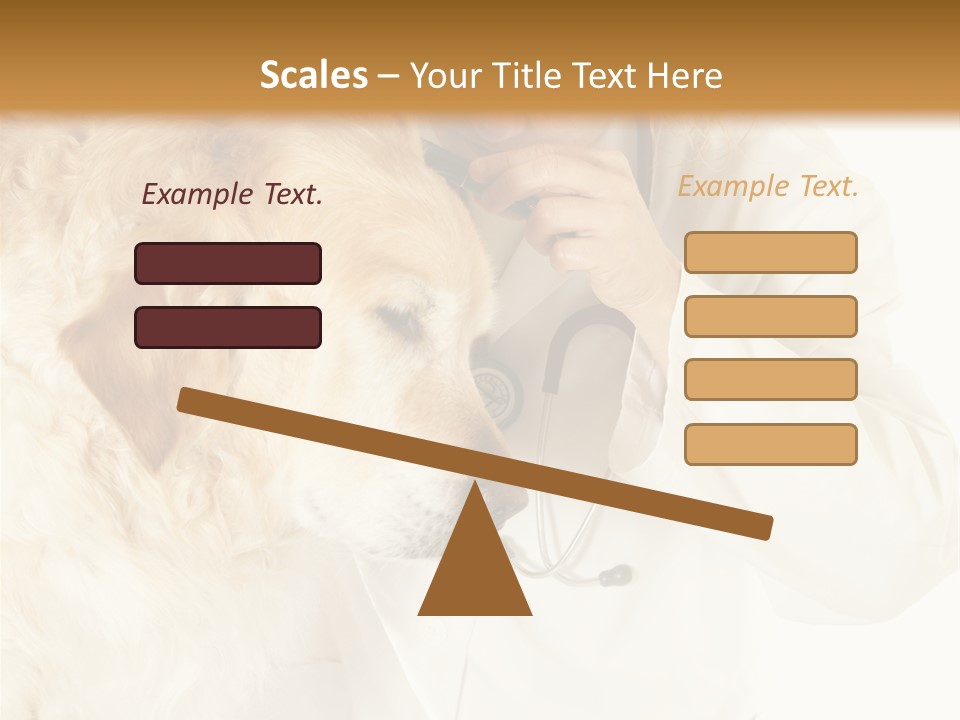 Medicine Vet Dog Lantern PowerPoint Template