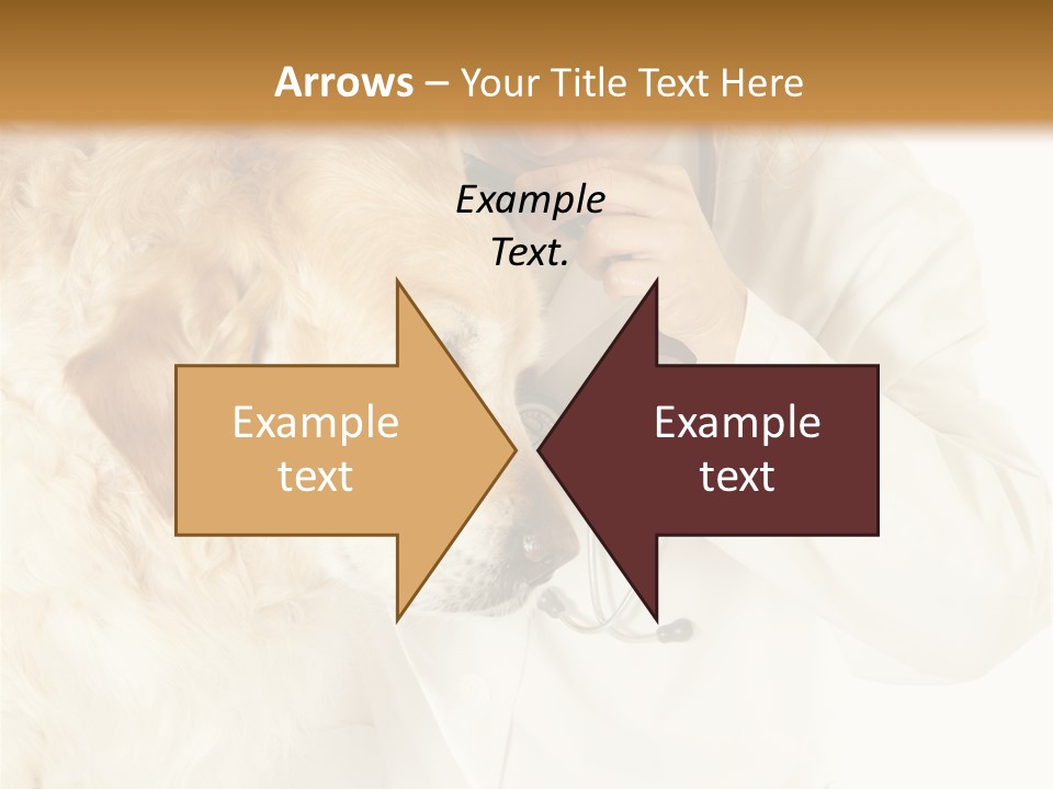 Medicine Vet Dog Lantern PowerPoint Template