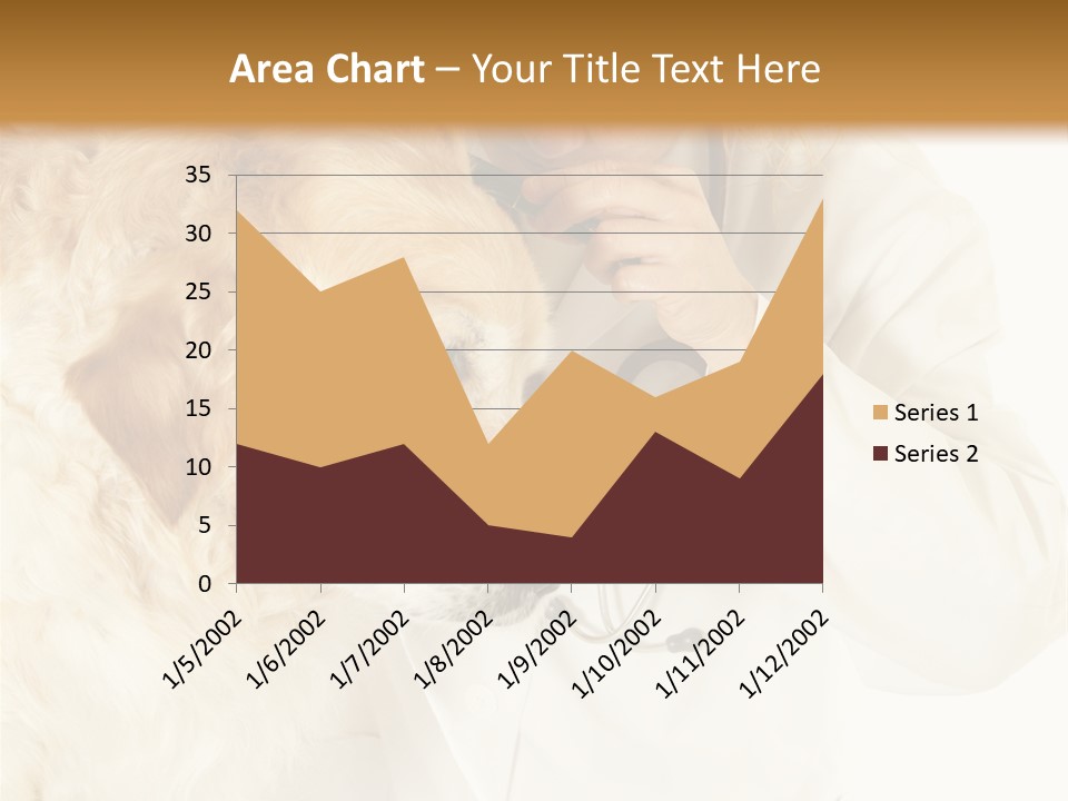 Medicine Vet Dog Lantern PowerPoint Template