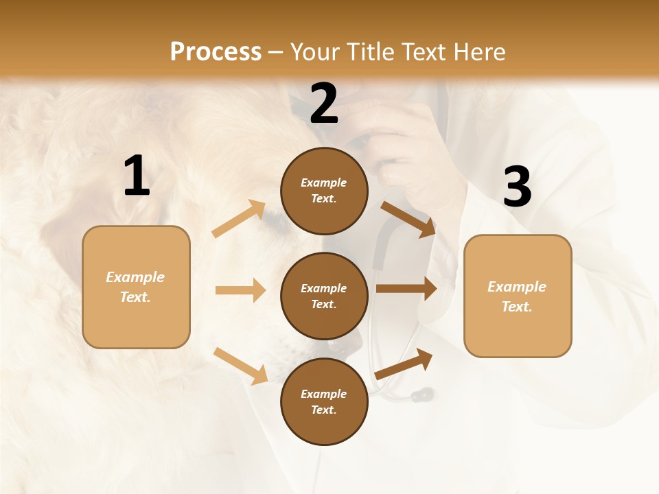 Medicine Vet Dog Lantern PowerPoint Template