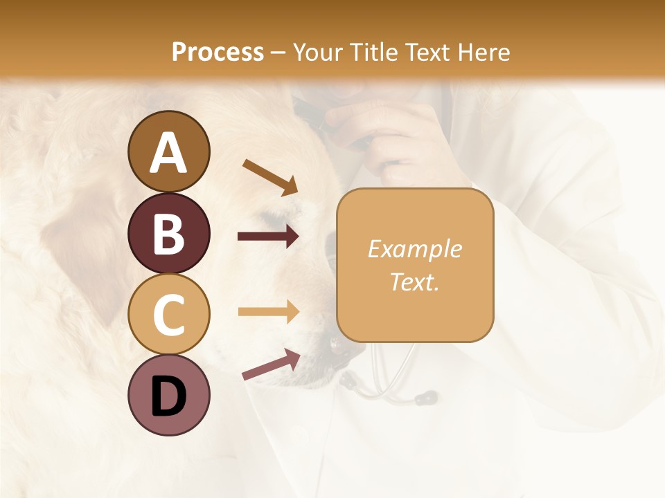 Medicine Vet Dog Lantern PowerPoint Template