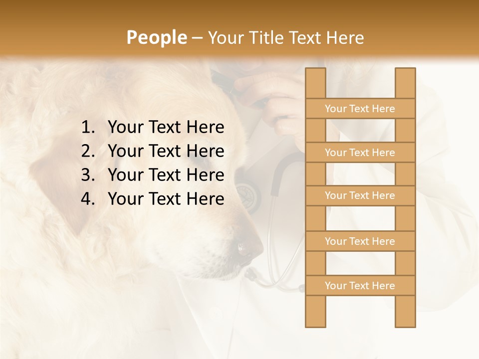 Medicine Vet Dog Lantern PowerPoint Template