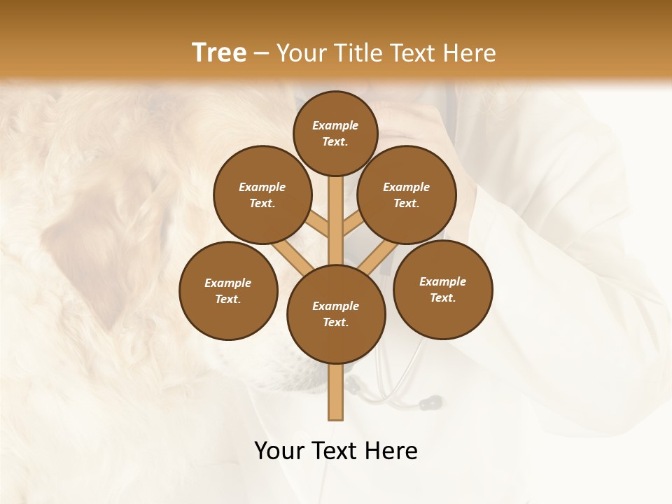 Medicine Vet Dog Lantern PowerPoint Template