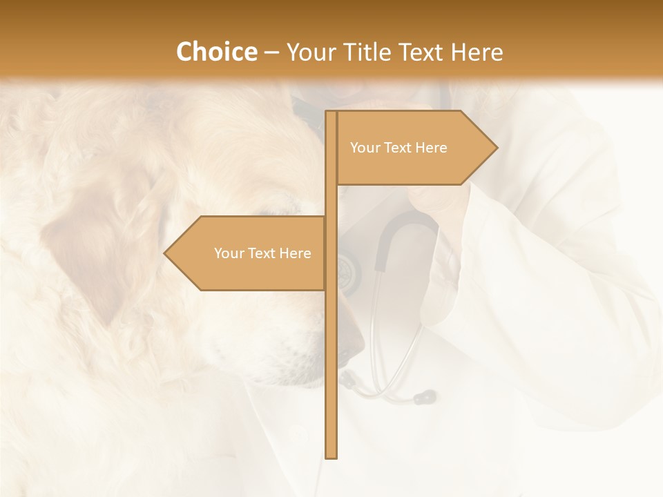 Medicine Vet Dog Lantern PowerPoint Template