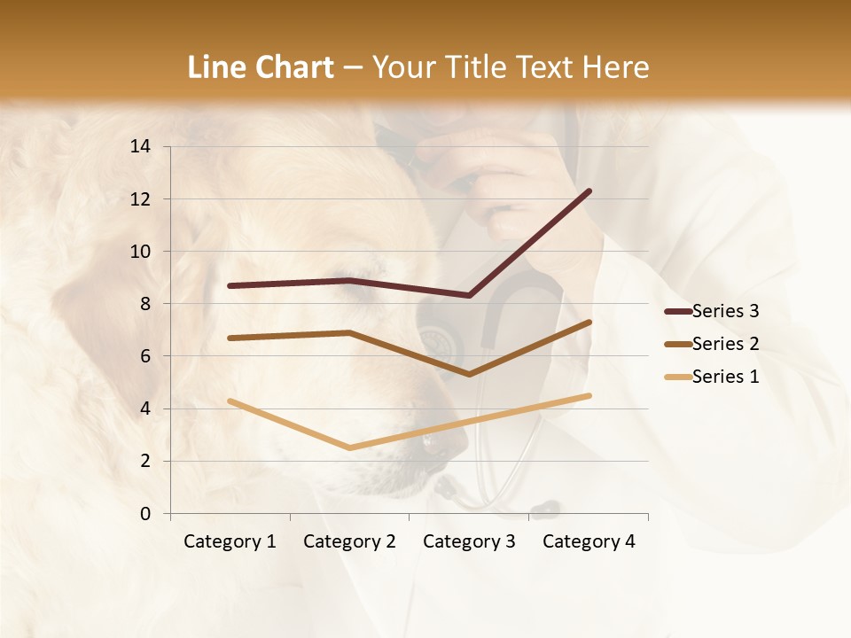 Medicine Vet Dog Lantern PowerPoint Template