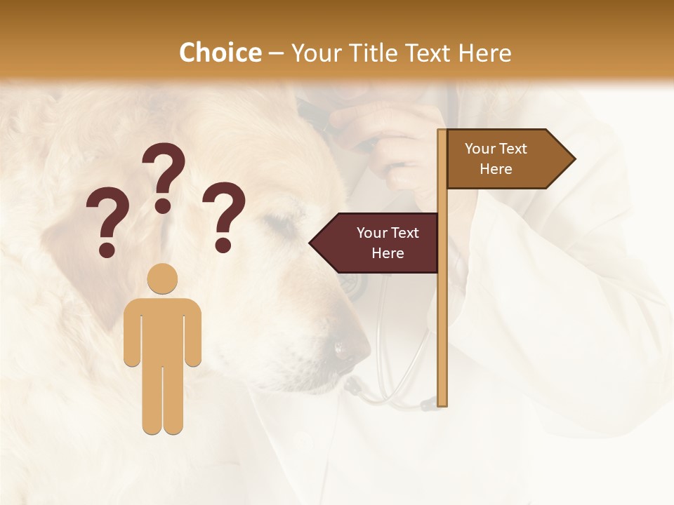 Medicine Vet Dog Lantern PowerPoint Template