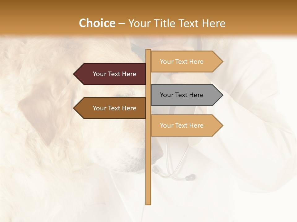 Medicine Vet Dog Lantern PowerPoint Template