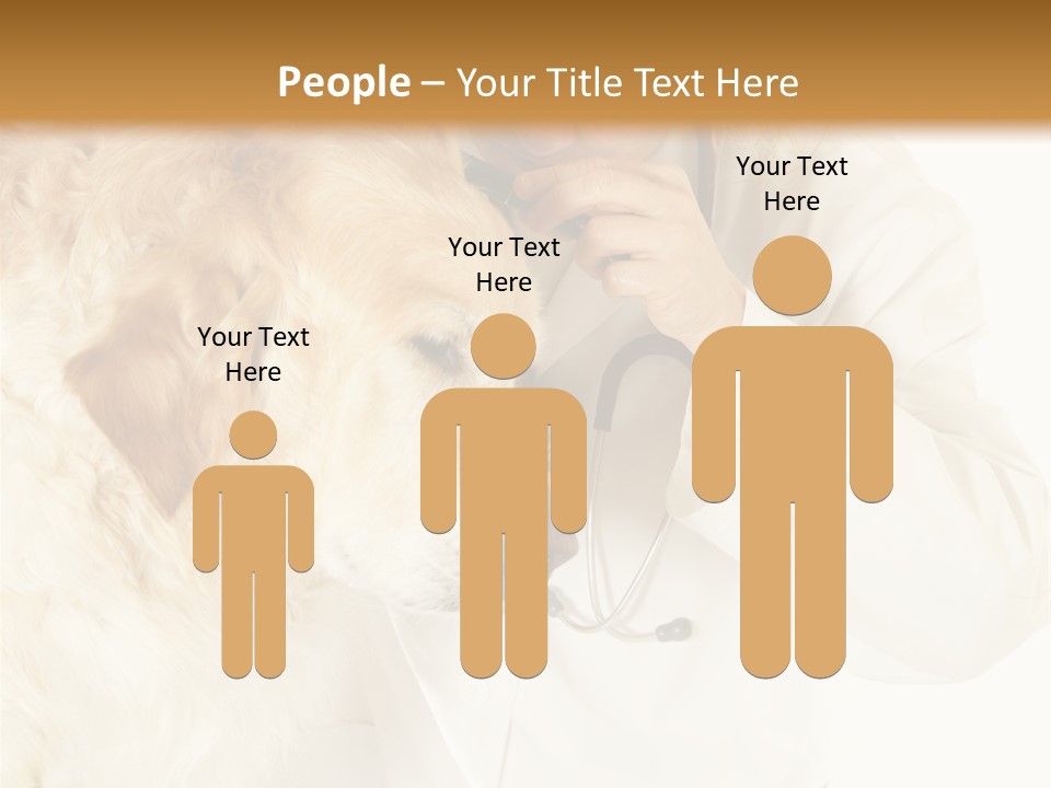 Medicine Vet Dog Lantern PowerPoint Template