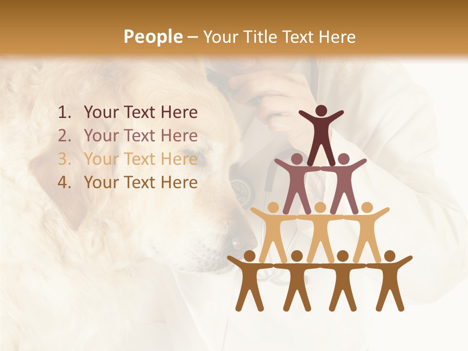 Medicine Vet Dog Lantern PowerPoint Template