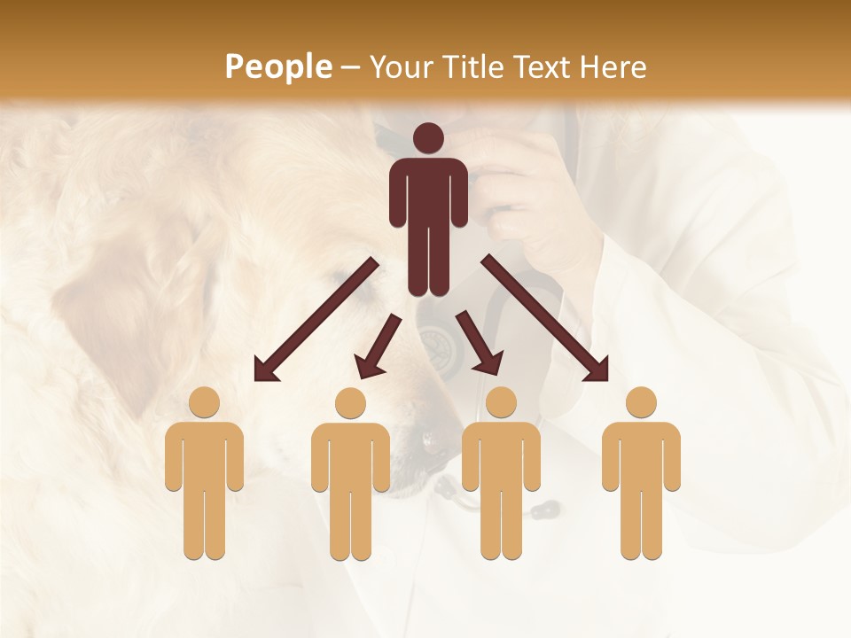 Medicine Vet Dog Lantern PowerPoint Template