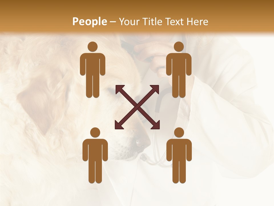 Medicine Vet Dog Lantern PowerPoint Template