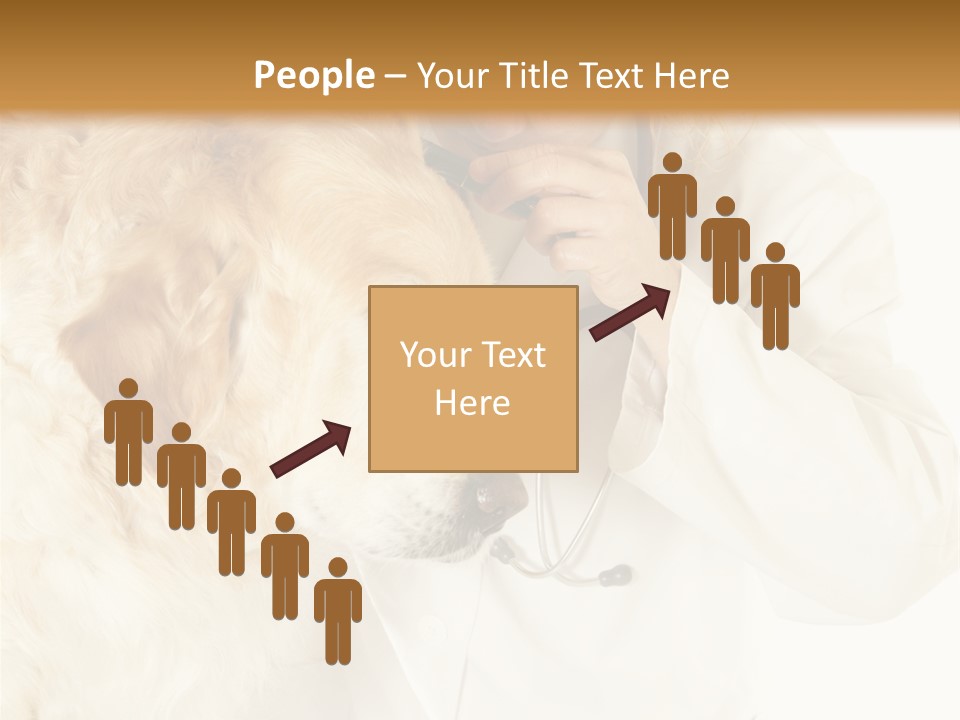 Medicine Vet Dog Lantern PowerPoint Template