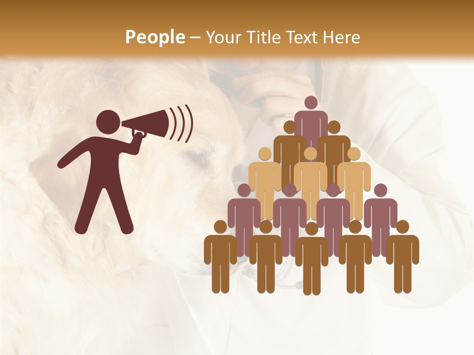 Medicine Vet Dog Lantern PowerPoint Template