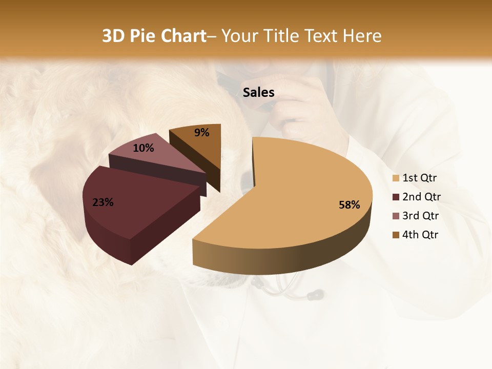 Medicine Vet Dog Lantern PowerPoint Template