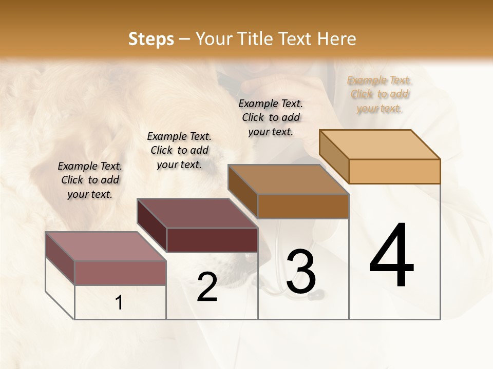 Medicine Vet Dog Lantern PowerPoint Template