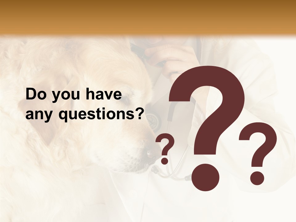 Medicine Vet Dog Lantern PowerPoint Template