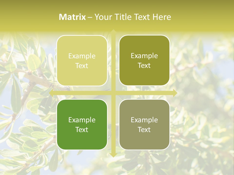 Seed Branch Green PowerPoint Template