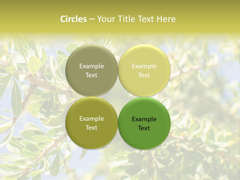 Seed Branch Green PowerPoint Template