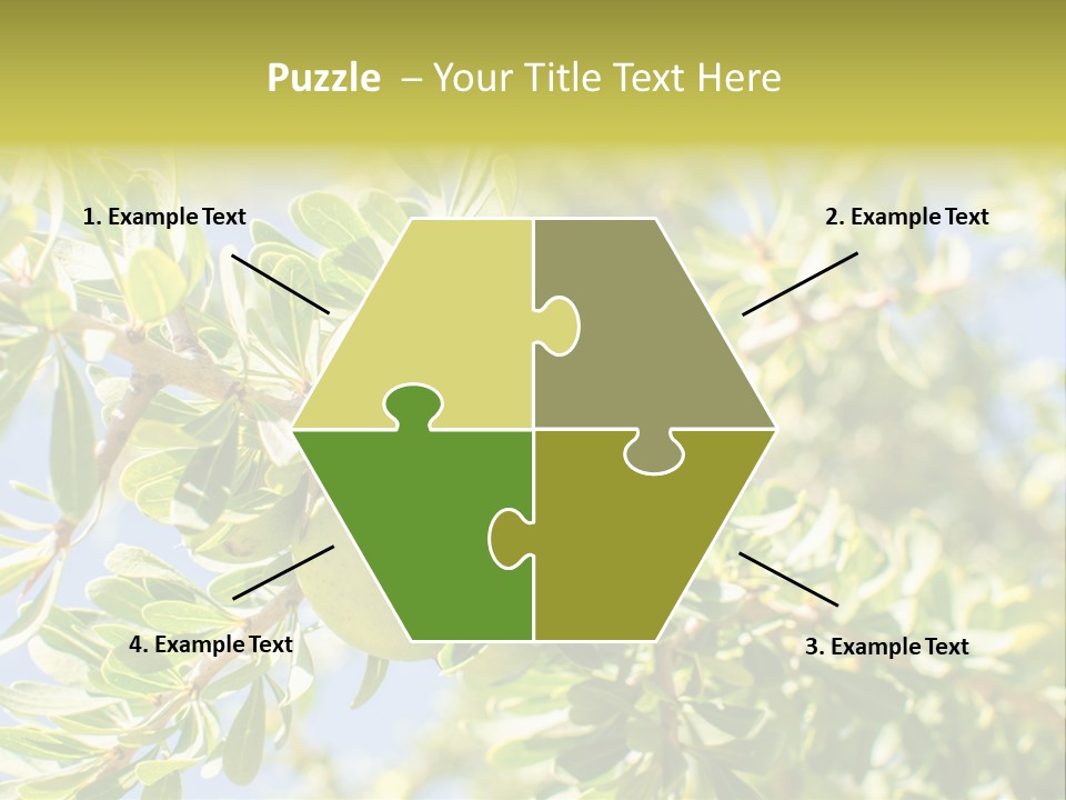 Seed Branch Green PowerPoint Template