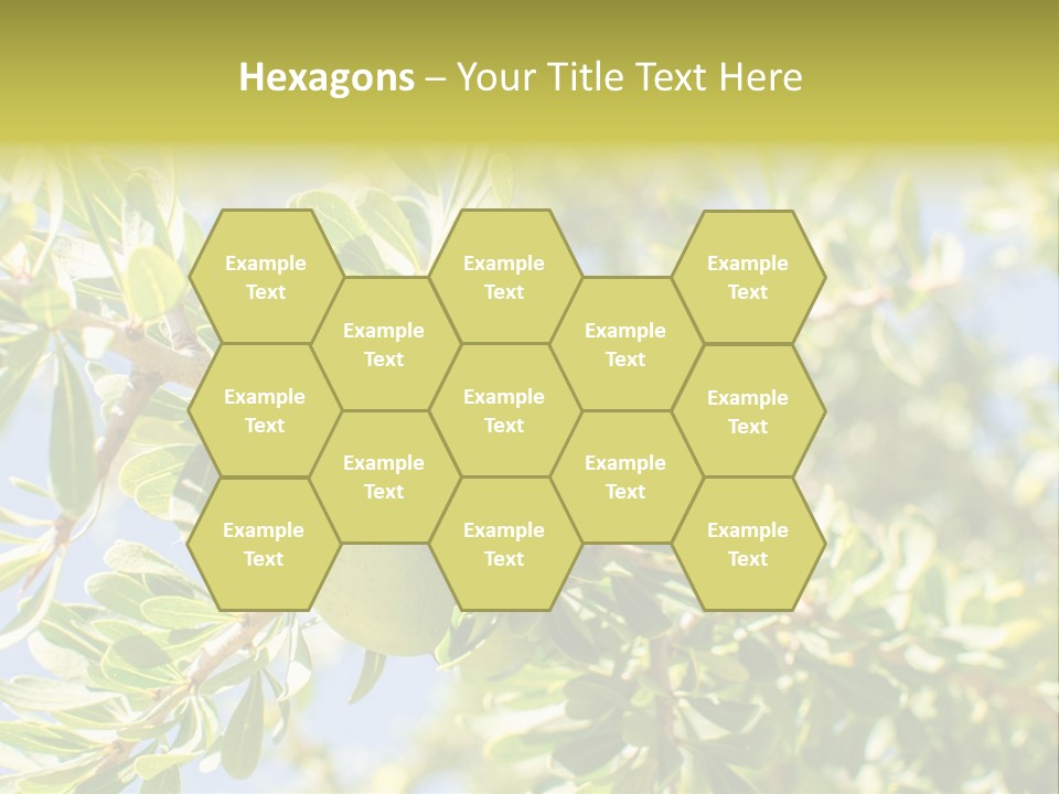 Seed Branch Green PowerPoint Template