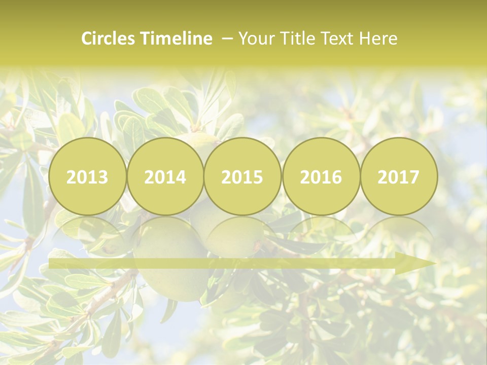 Seed Branch Green PowerPoint Template