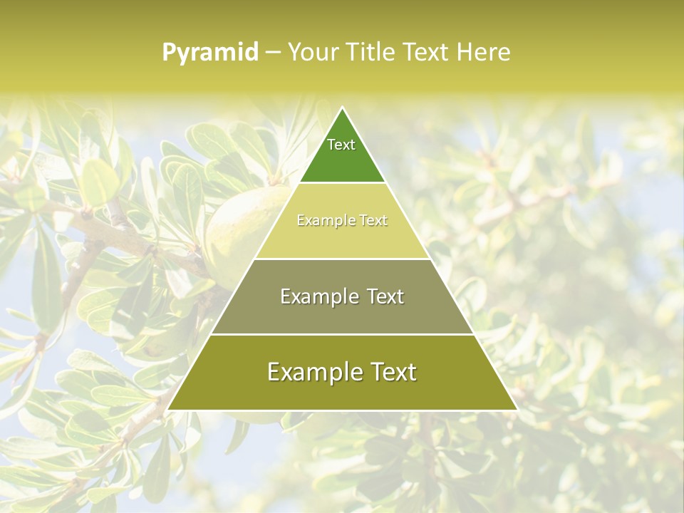 Seed Branch Green PowerPoint Template