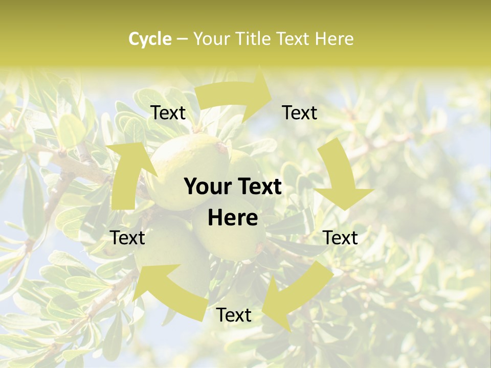 Seed Branch Green PowerPoint Template