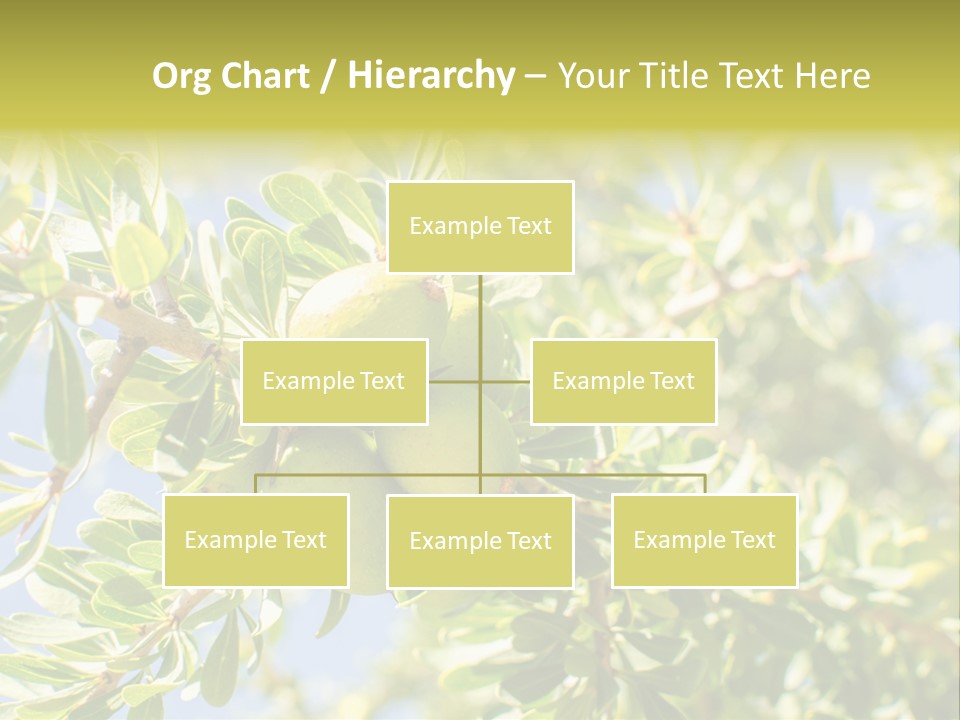 Seed Branch Green PowerPoint Template