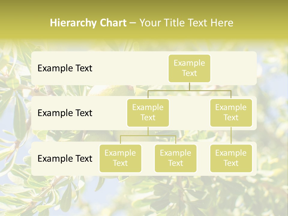 Seed Branch Green PowerPoint Template