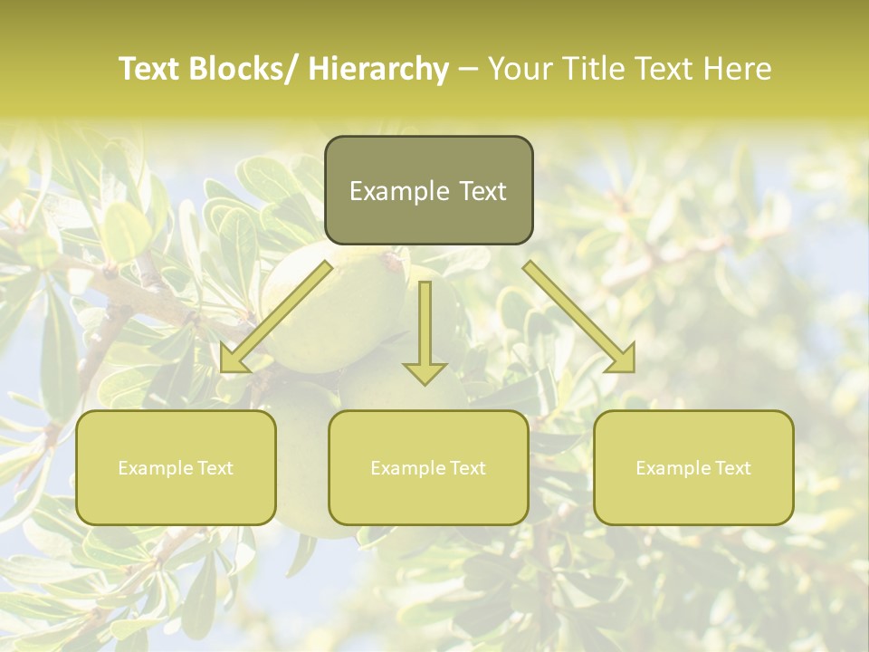Seed Branch Green PowerPoint Template