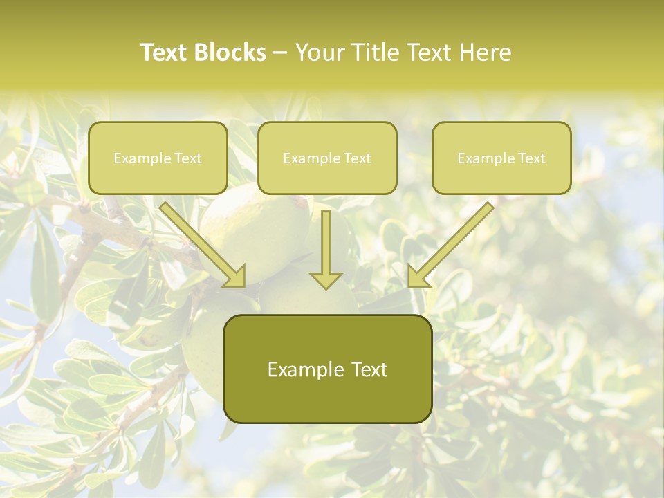 Seed Branch Green PowerPoint Template