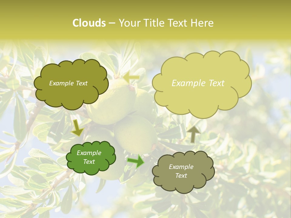 Seed Branch Green PowerPoint Template