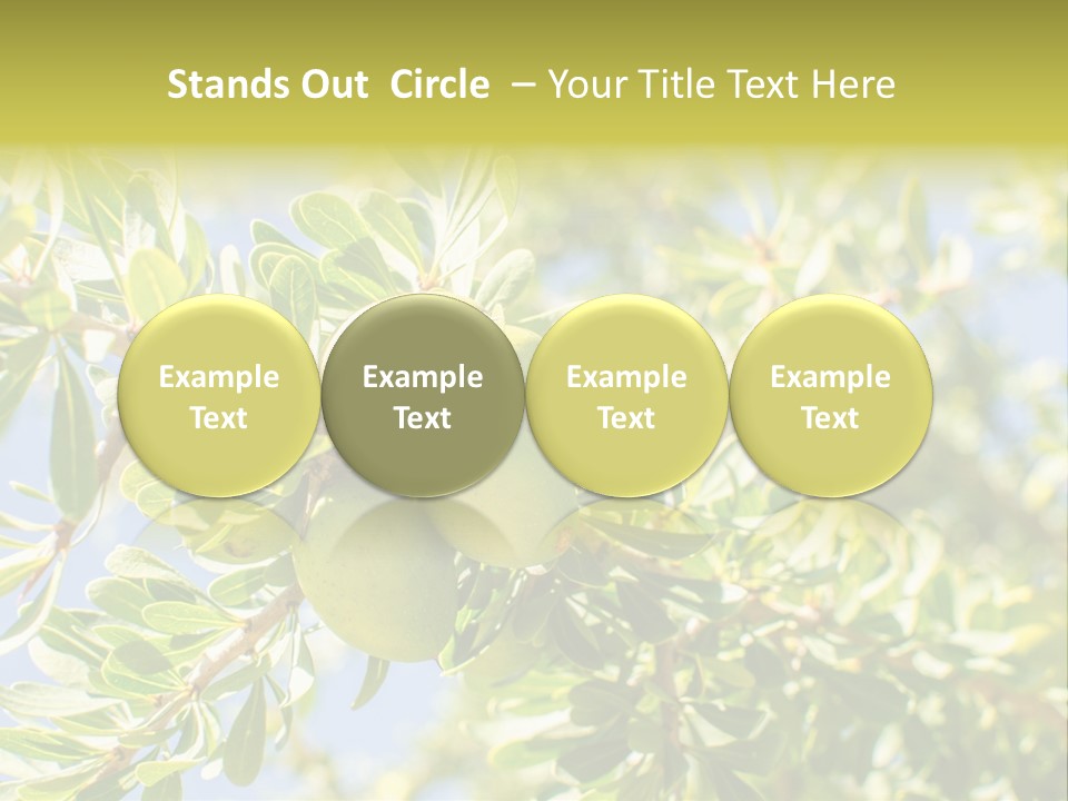 Seed Branch Green PowerPoint Template